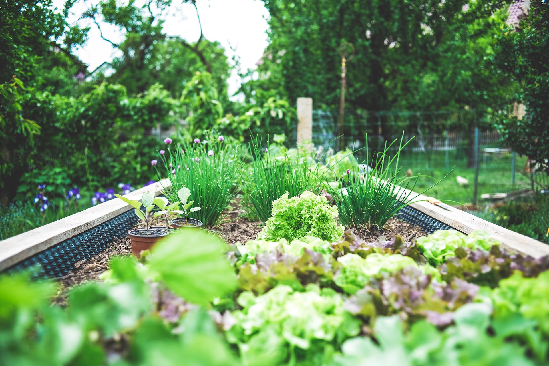Jakie prace należy wykonać w <strong>ogródku warzywnym</strong> przed nadejściem zimy?