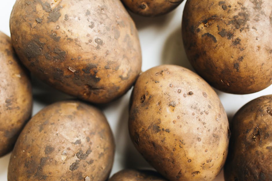 Ziemniaki: Od wyboru odmiany do zbioru – kroki do sukcesu