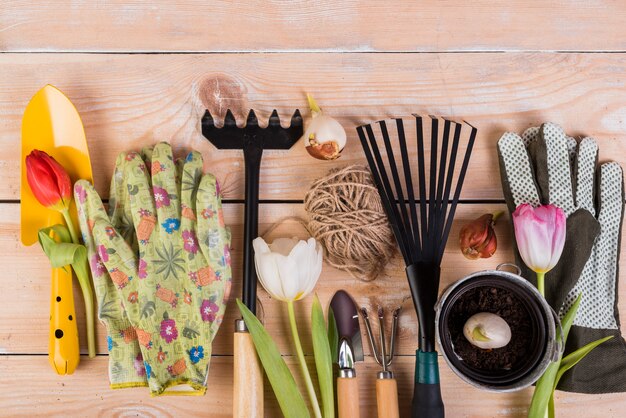 Jakie ręczne narzędzia pomogą stworzyć ogród pełen życia?